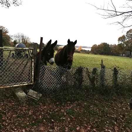 Arko